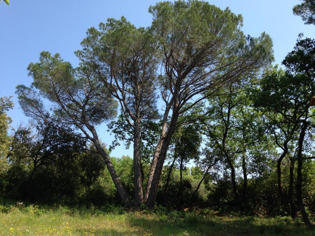 Les Marguerites Bed & Breakfast Vers Pont du Gard Dış mekan fotoğraf