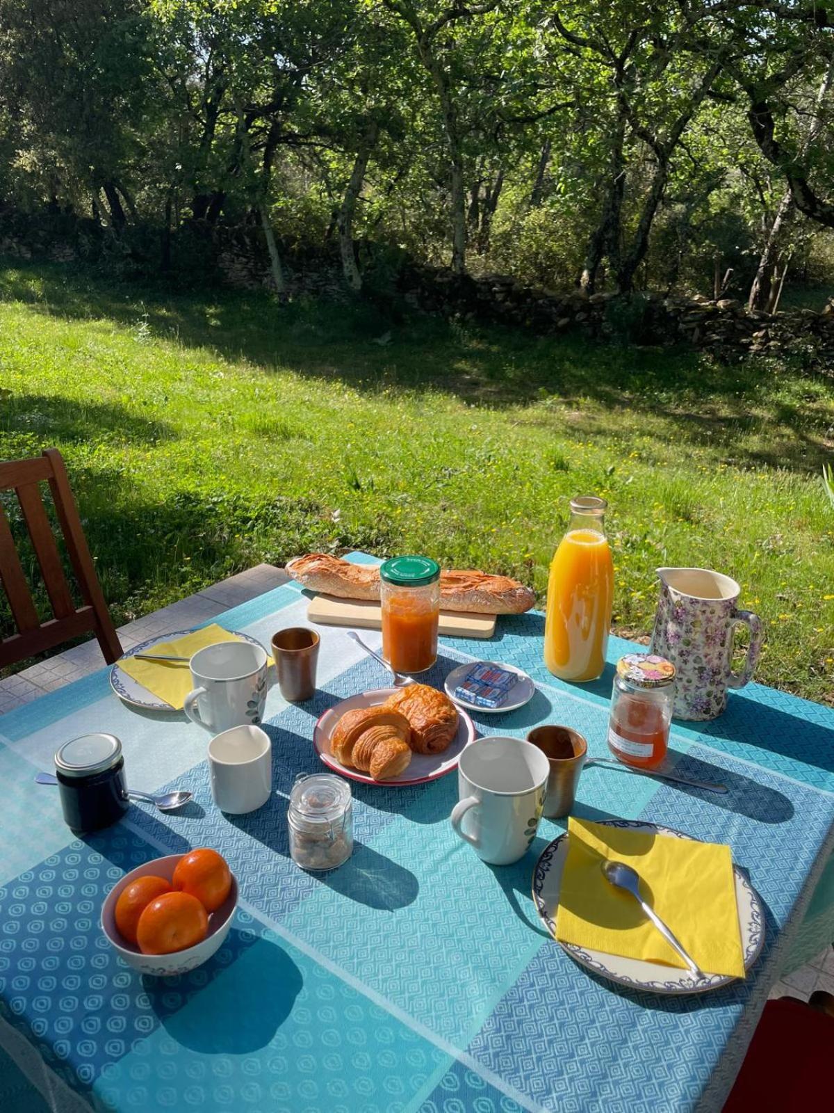 Les Marguerites Bed & Breakfast Vers Pont du Gard Dış mekan fotoğraf